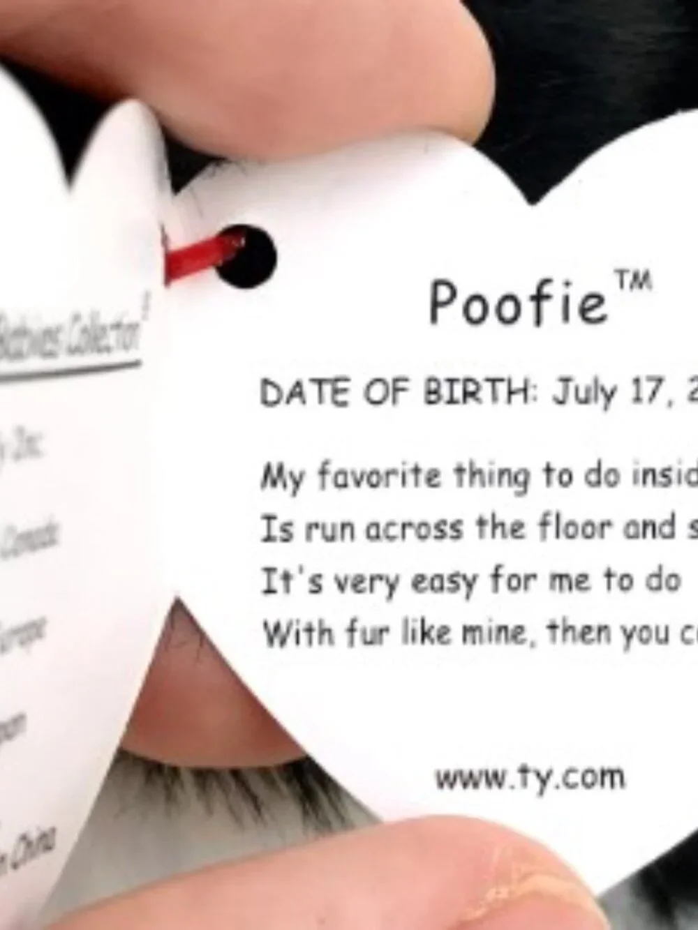 Beanie Baby - Poofie